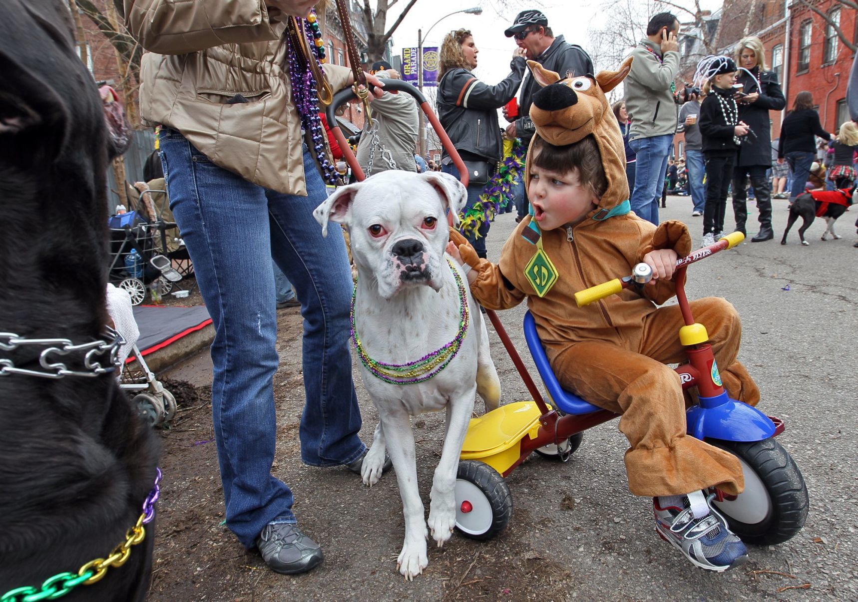 2011: Soulard Mardi Gras Celebrates 40 Years of Fun